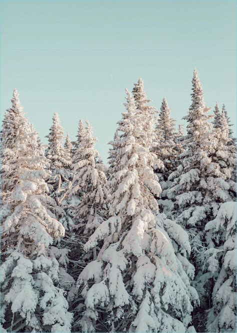 Winter wallpaper aesthetic. Things To Know About Winter wallpaper aesthetic. 